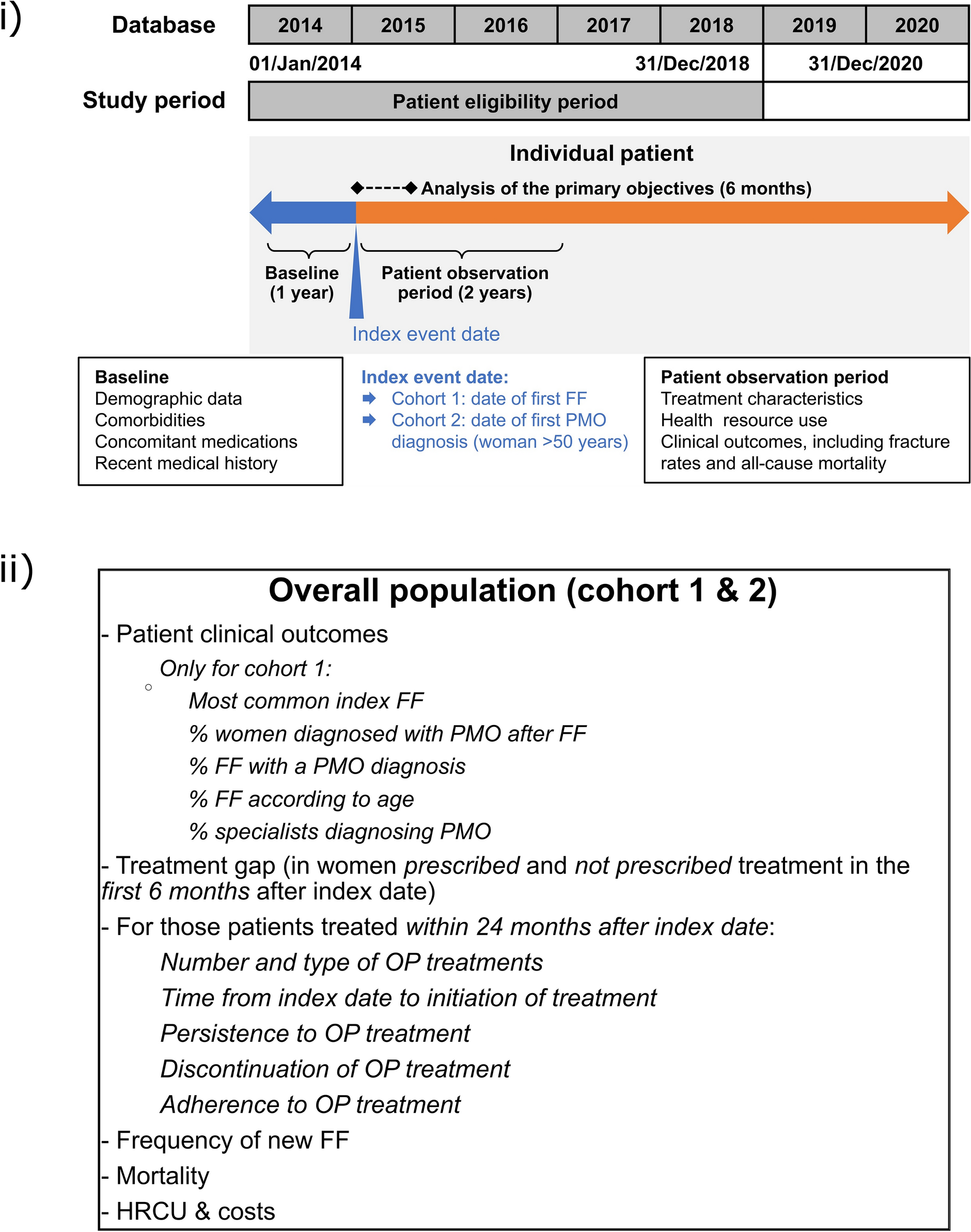 Real-World Osteoporosis Treatment Gap and Costs in Spain: Data from Women with a First Fragility Fracture or Diagnosis of Postmenopausal Osteoporosis