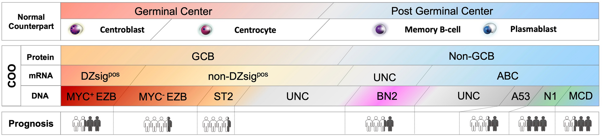 Understanding the intrinsic biology of diffuse large B-cell lymphoma: recent advances and future prospects