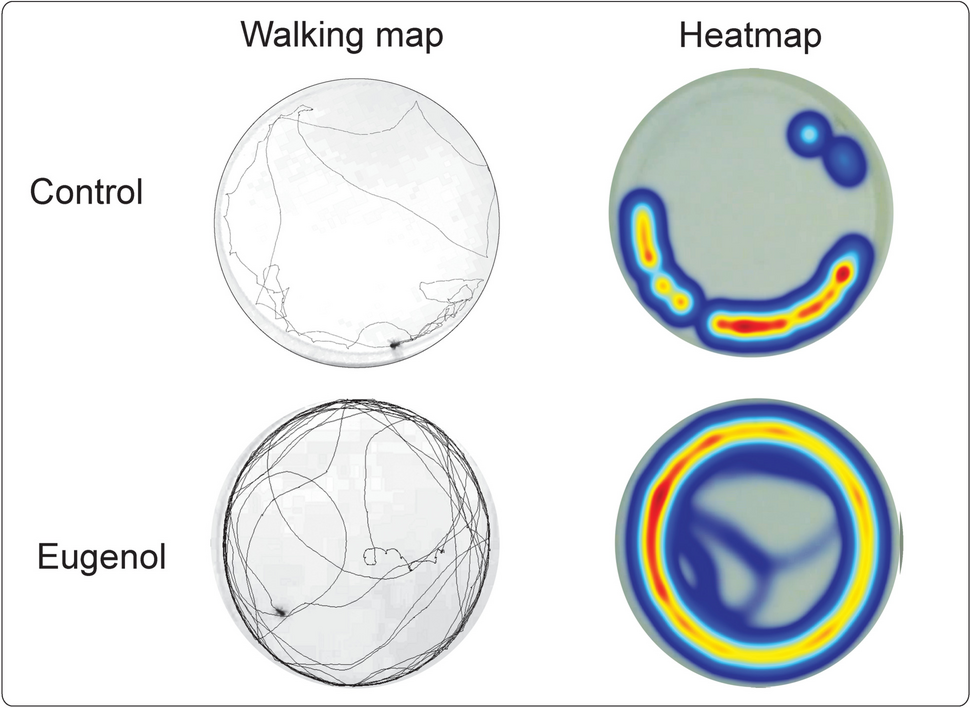 Walk, do not Run, you Kissing Bug! (Insecticides that Increase Triatomines Locomotor Activity)