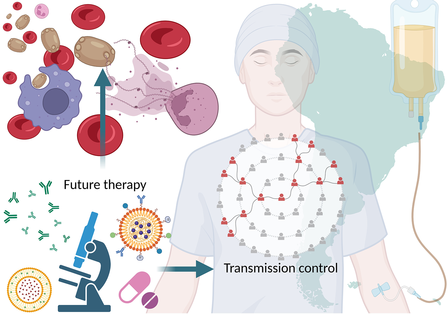 Candidozyma auris Alert in South America: An Epidemiological and Therapeutic Update