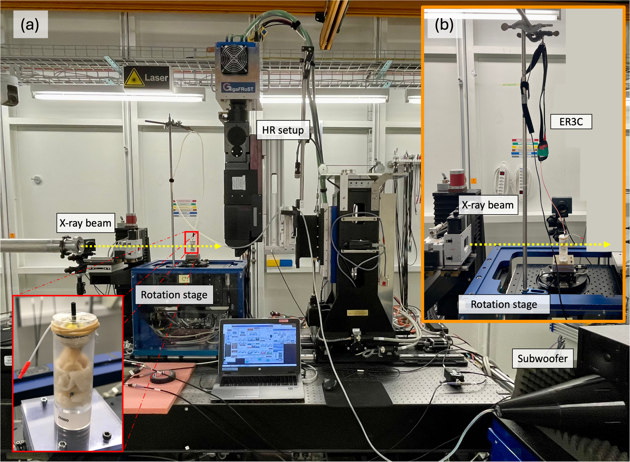 Dynamic X-ray Microtomography vs. Laser-Doppler Vibrometry: A Comparative Study