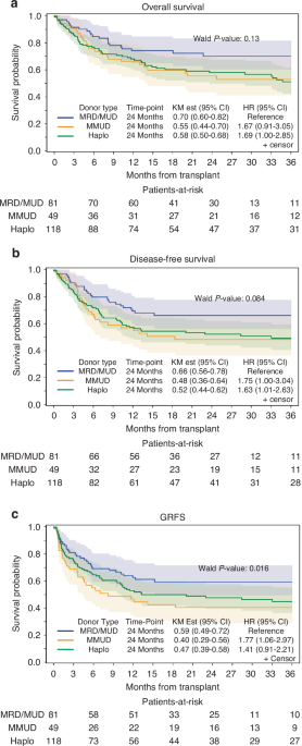 Melphalan-based conditioning with post-transplant cyclophosphamide for peripheral blood stem cell transplantation: donor effect