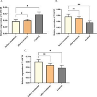 Effects of capecitabine chemotherapy on the expression of CASC18, CASC19, and CASC20 lncRNAs in patients with colorectal cancer and the HCT-116 colorectal cancer cell line