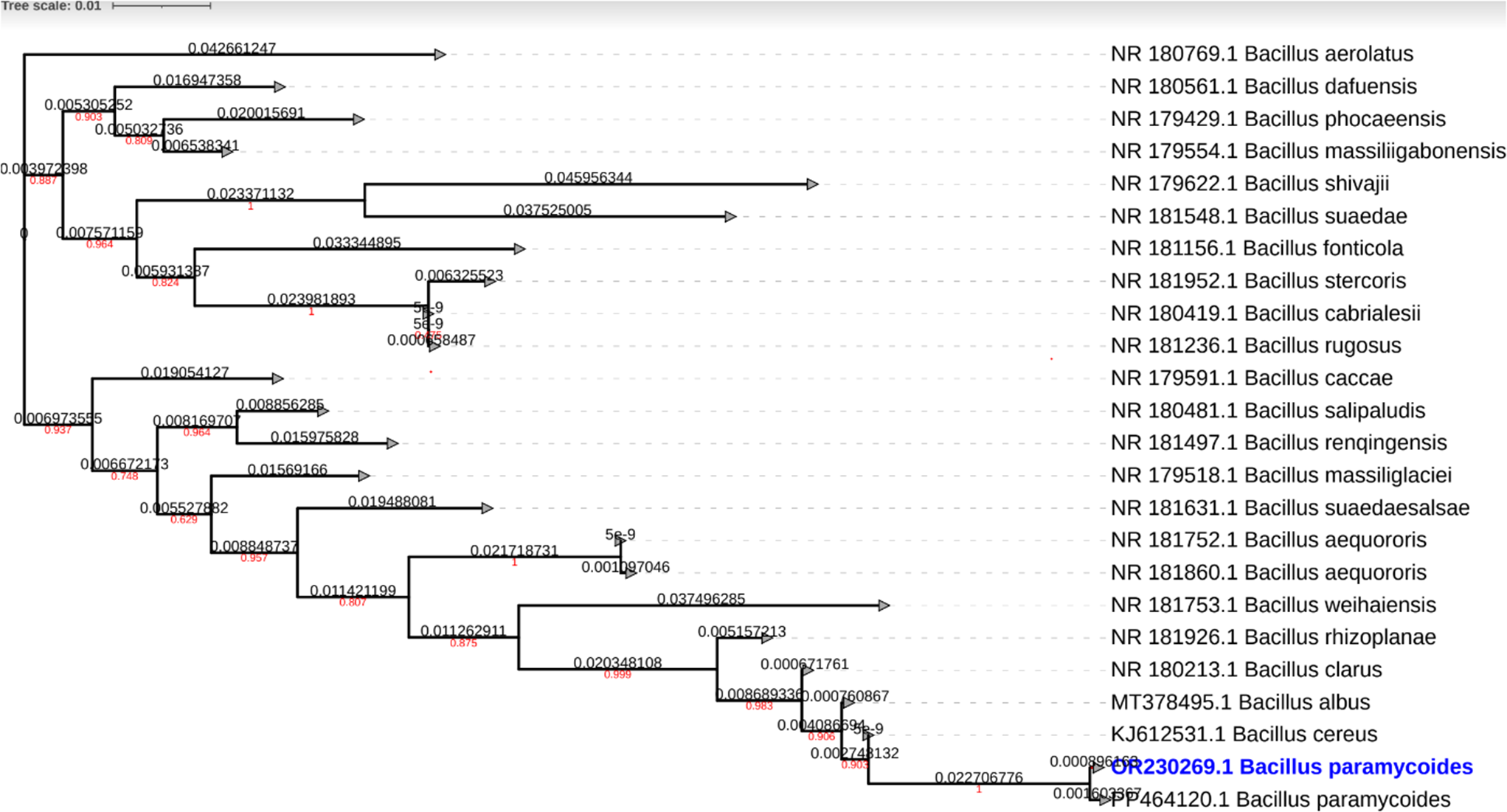 Evaluation of Bacillus sp. strain isolated from pesticide influenced rhizospheric soil for dimethoate degrading potential