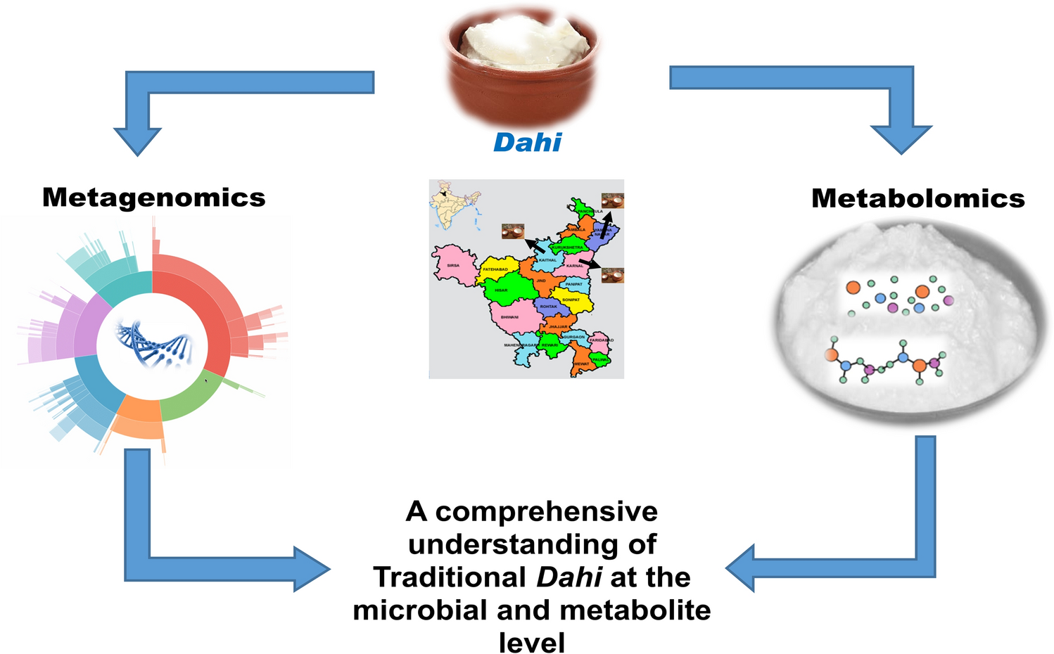 16S metagenomics and metabolomics unveil the microbial compositions and metabolite profiles in Dahi, a traditional Indian fermented milk product prepared by the backslopping method