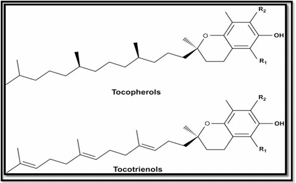 Role of Vitamin-E as a Vital Nutrient in Health and Diseases