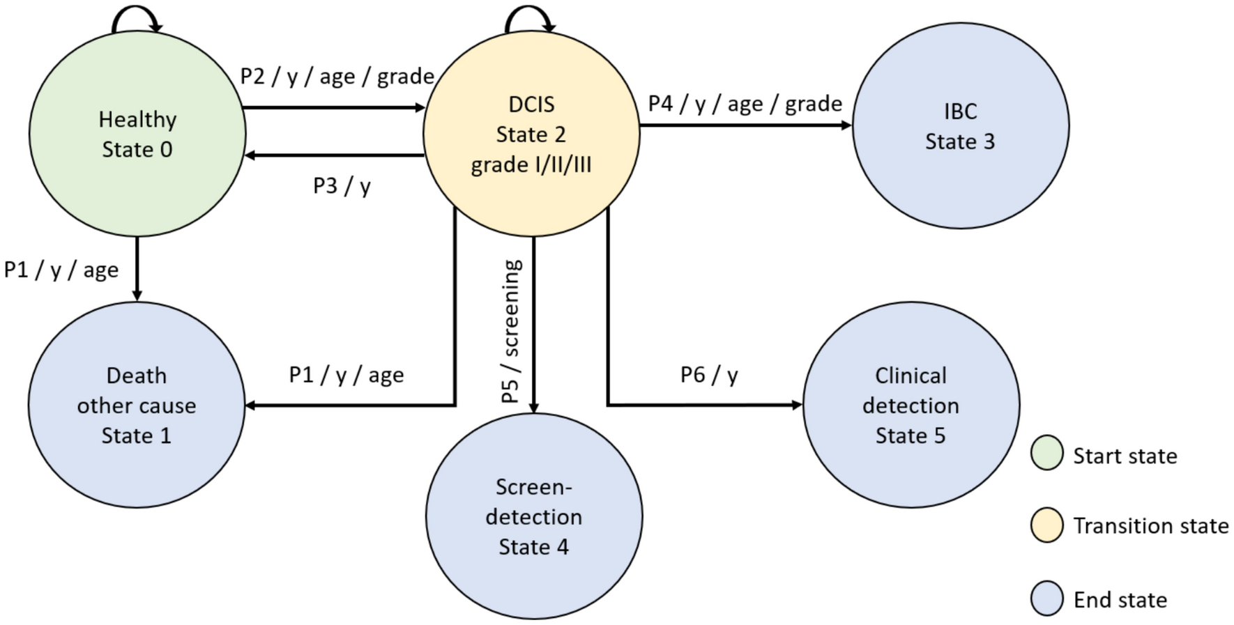 The natural history of ductal carcinoma in situ: development, validation, and estimated outcomes of the SimDCIS model