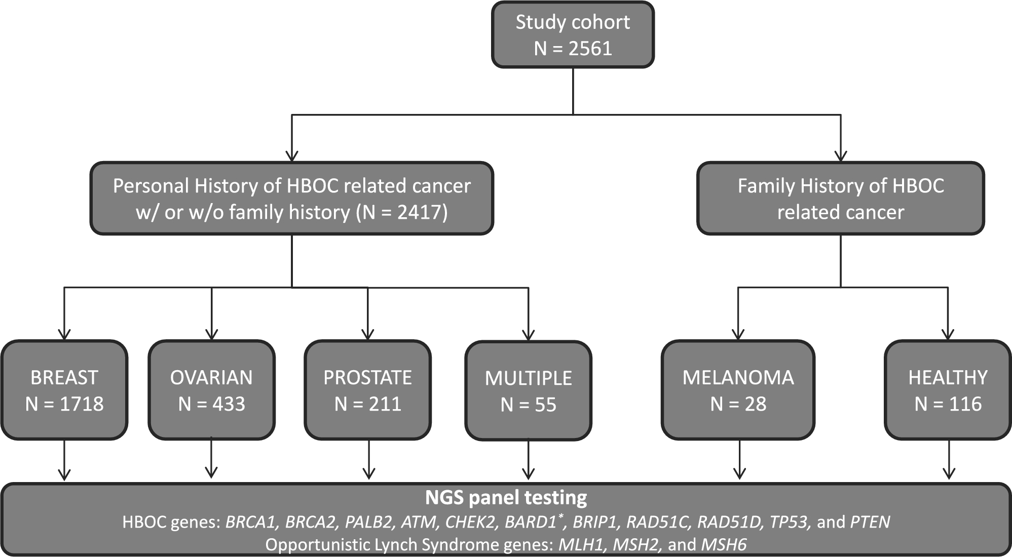 Considerations for hereditary breast and ovarian cancer syndrome molecular diagnosis: experience from the clinical practice