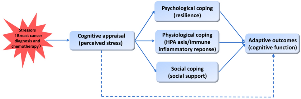 The regulation mechanism of perceived stress on cognitive function of patients with breast cancer undergoing chemotherapy: a multiple mediation analysis