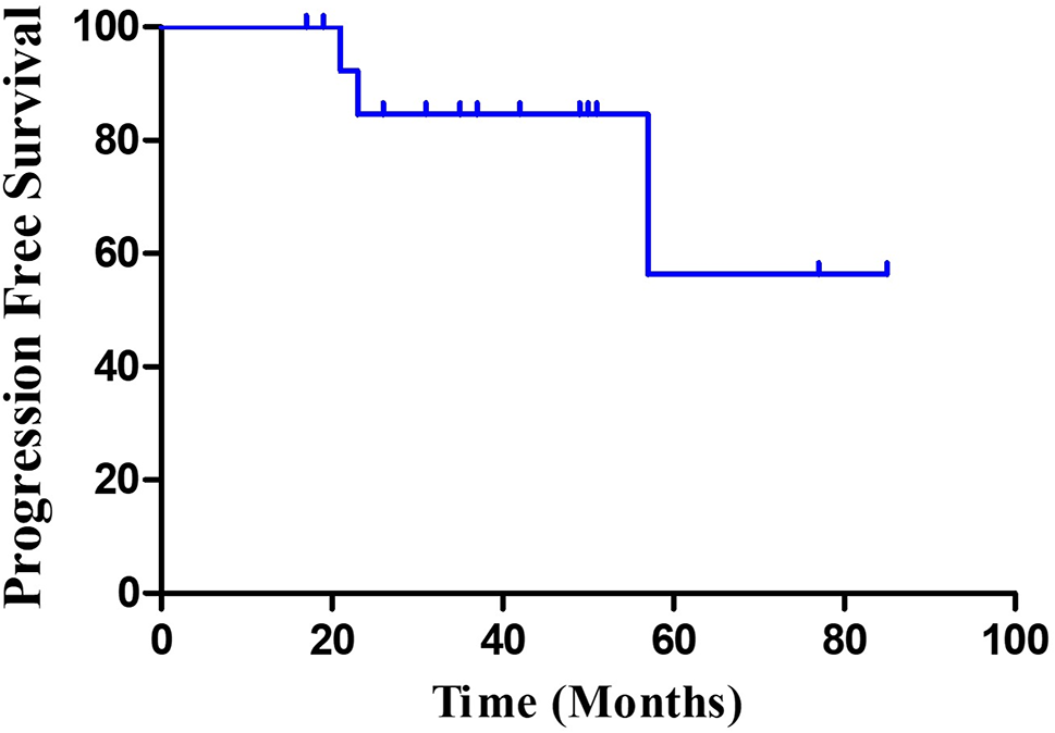 Efficacy of Brentuximab-Vedotin Combined with PD-1 Inhibitors in Relapsed/Refractory Hodgkin Lymphoma with ASCT Consolidation and Maintenance Therapy: A Phase 2 Clinical Trial