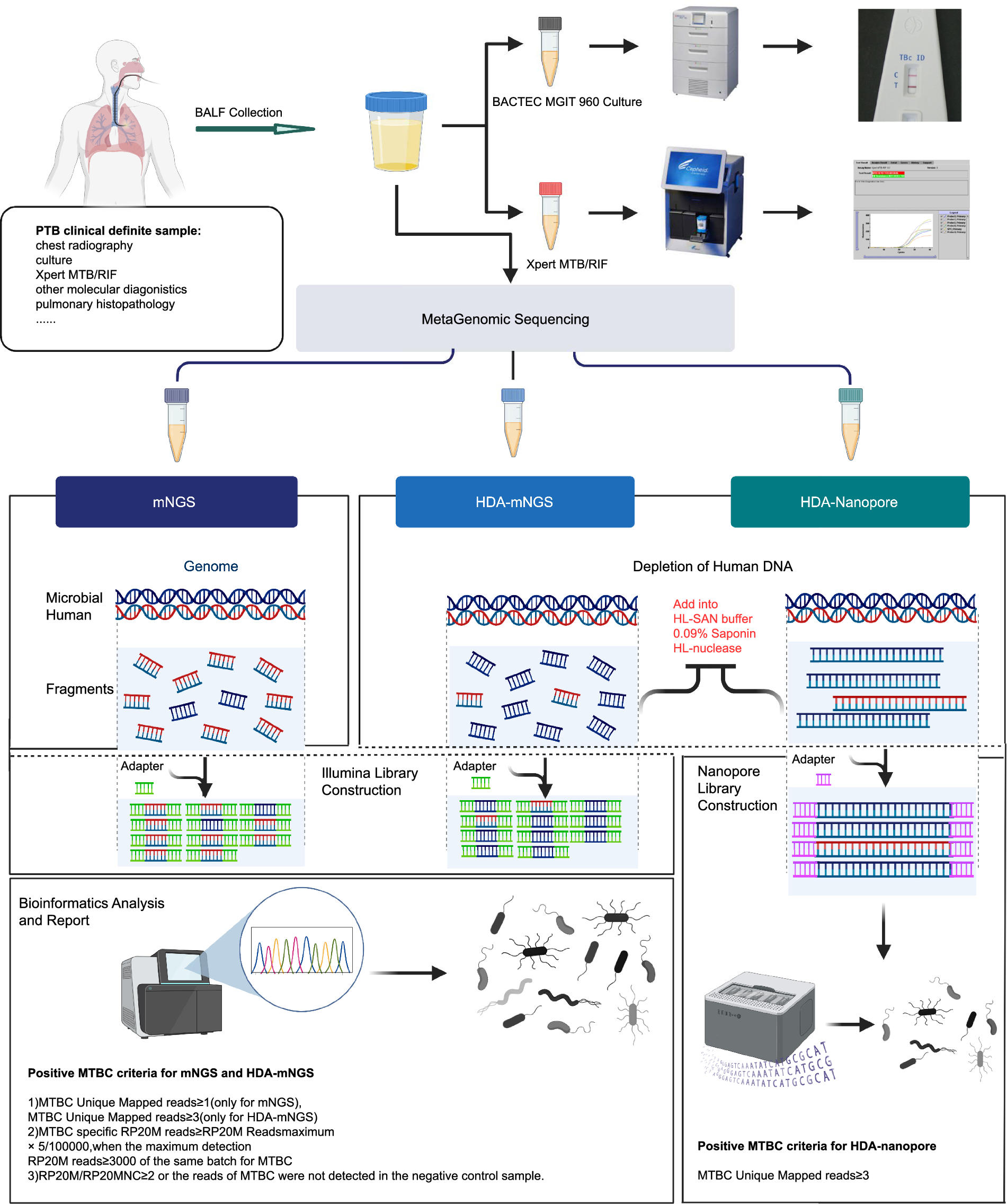 Host DNA depletion assisted metagenomic sequencing of bronchoalveolar lavage fluids for diagnosis of pulmonary tuberculosis