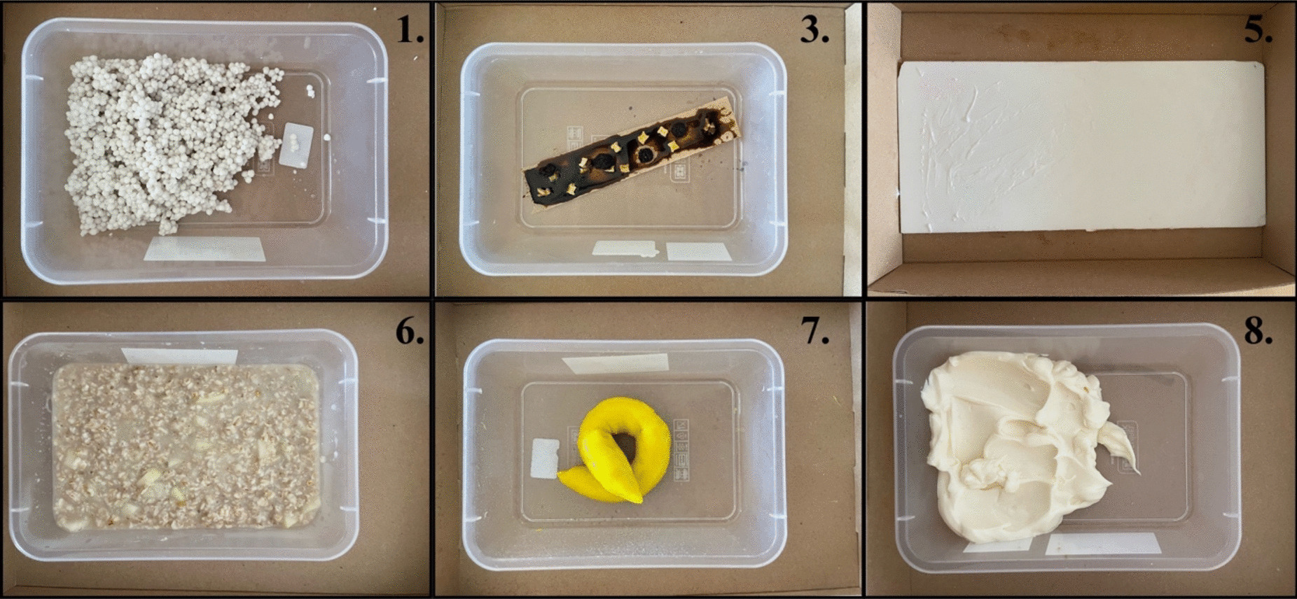 Perception of Tactile Disgust: The Role of Object Characteristics, Sensitivity to Different Disgust Subscales and Fear