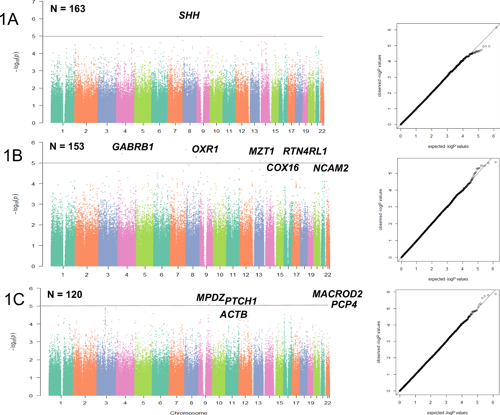 Genetic markers of early response to lurasidone in acute schizophrenia