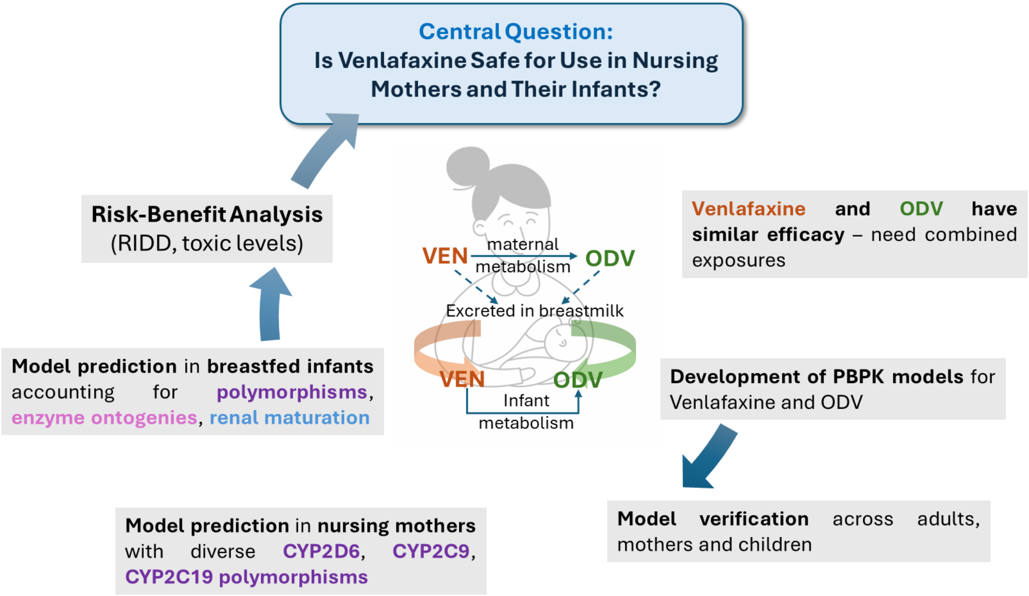 Advancing inclusive healthcare through PBPK modelling: predicting the impact of CYP genotypes and enzyme ontogenies on infant exposures of venlafaxine and its active metabolite O-desmethylvenlafaxine in lactation