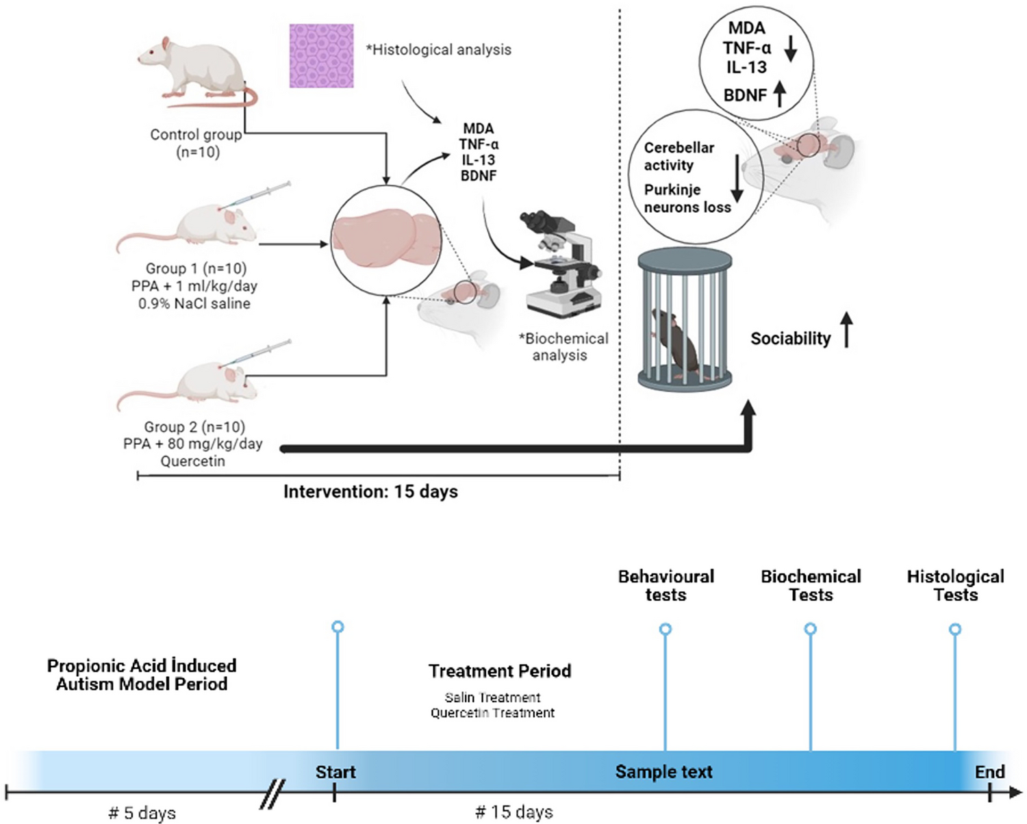 Antioxidant-Effective Quercetin Through Modulation of Brain Interleukin-13 Mitigates Autistic-Like Behaviors in the Propionic Acid-Induced Autism Model in Rats