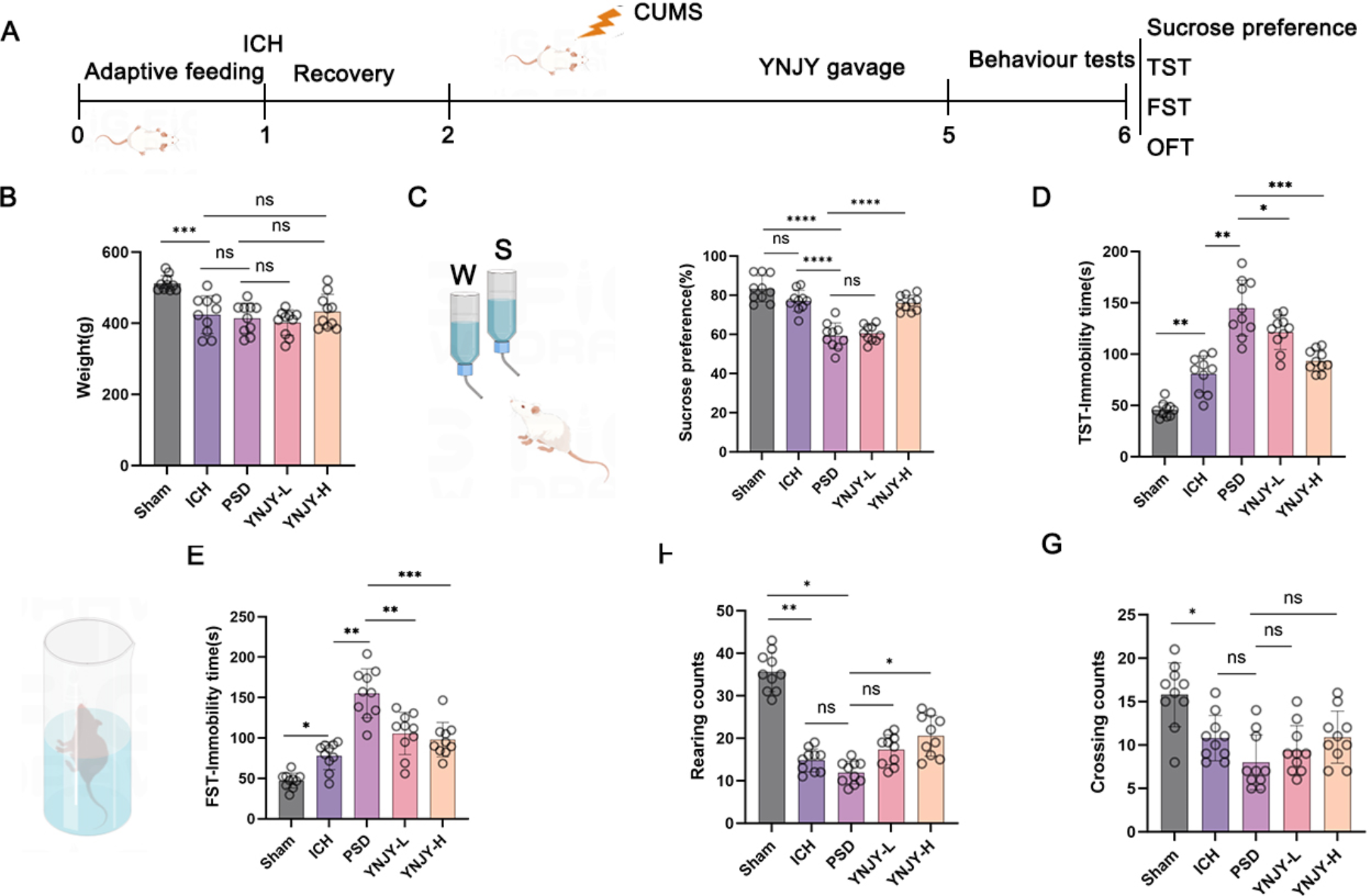 Yi-Nao-Jie-Yu Prescription Relieves Post-Stroke Depression by Mitigating Ferroptosis in Hippocampal Neurons Via Activating the Nrf2/GPX4/SLC7A11 Pathway