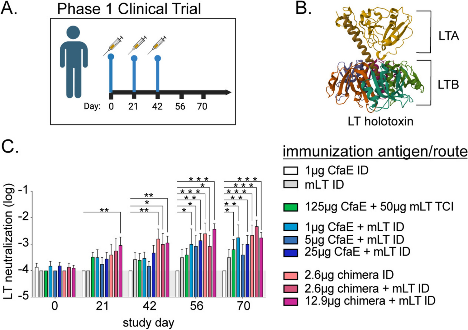 Protective antibodies against enterotoxigenic  are generated from heat-labile toxoid vaccination and exhibit subject- and vaccine-specific diversity