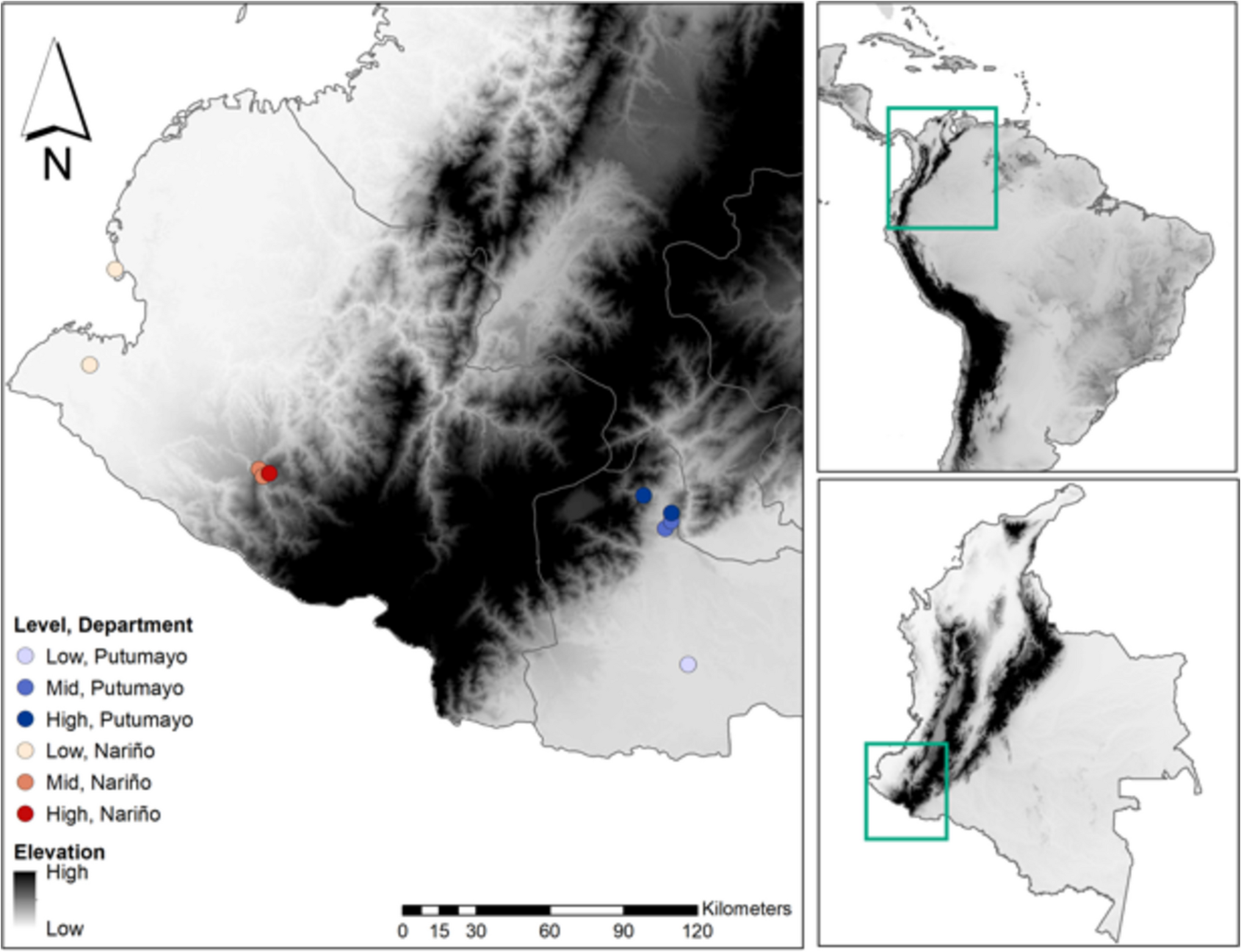 Phylogenetic Structure of Two Euglossine Communities Divided by the Colombian Andes