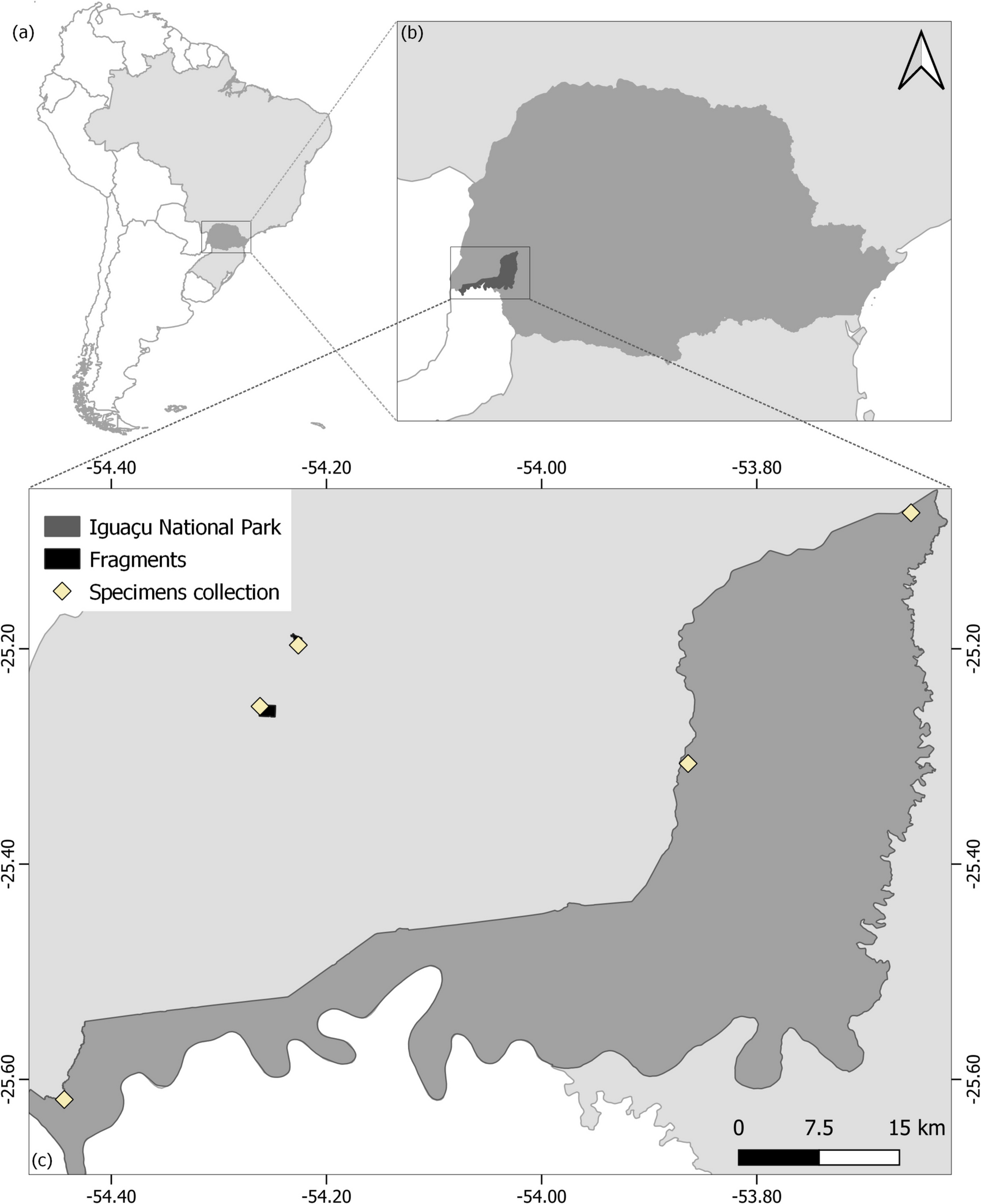 Intraspecific Variation in Wings of  (Blanchard, 1840) (Hymenoptera, Apidae, Euglossina) from a Highly Fragmented Landscape in Western Paraná State, Brazil
