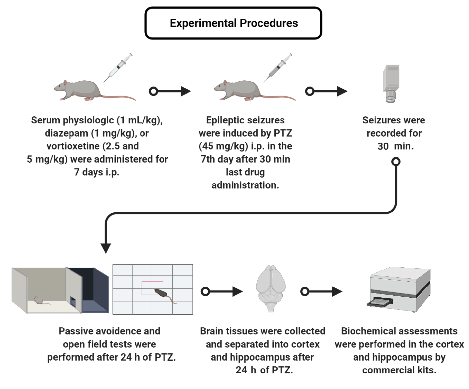 Possible Interaction of Oxidative Stress, Inflammatory, and Nitric Oxide Pathways in the Anticonvulsant Effect of Vortioxetine on Pentylenetetrazole-Induced Seizures in Rats