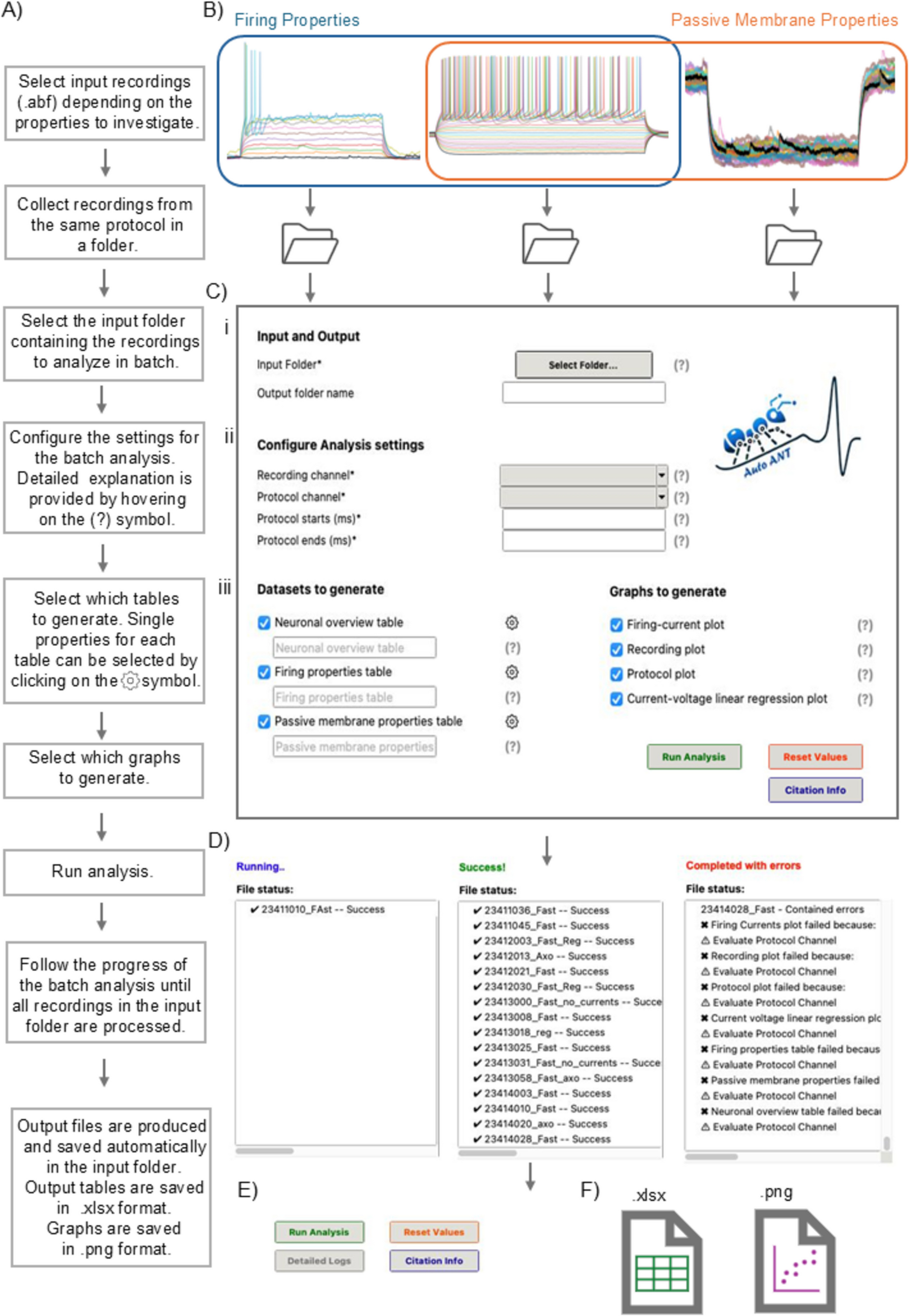 Efficient, Automatic, and Reproducible Patch Clamp Data Analysis with “Auto ANT”, a User-Friendly Interface for Batch Analysis of Patch Clamp Recordings