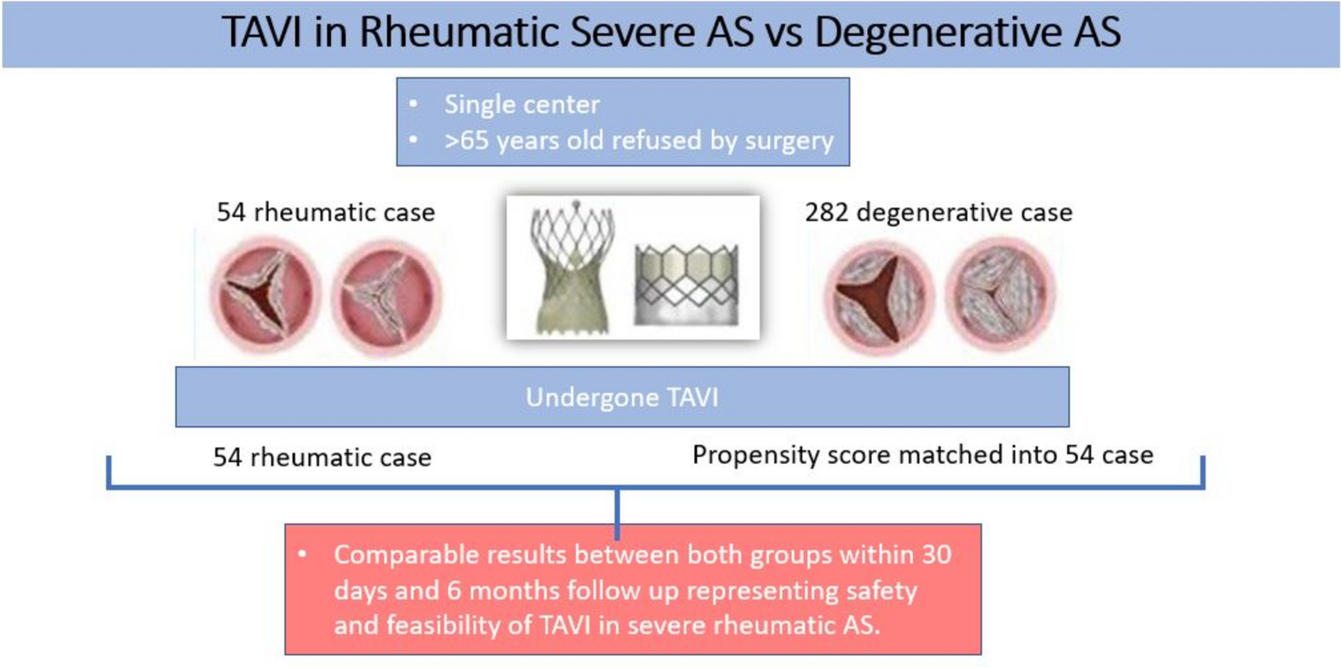 Transcatheter aortic valve implantation in elderly patients with severe aortic stenosis and rheumatic phenotype