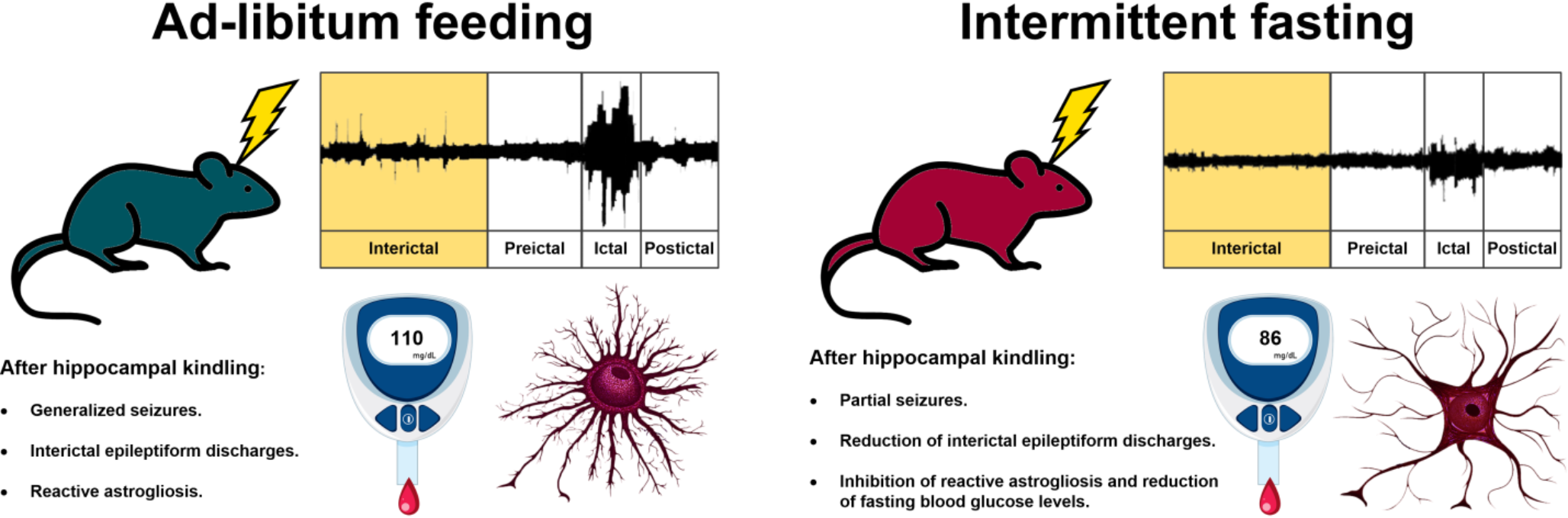 Intermittent fasting reduces interictal epileptiform discharges and hippocampal reactive astrogliosis during electrical kindling epileptogenesis