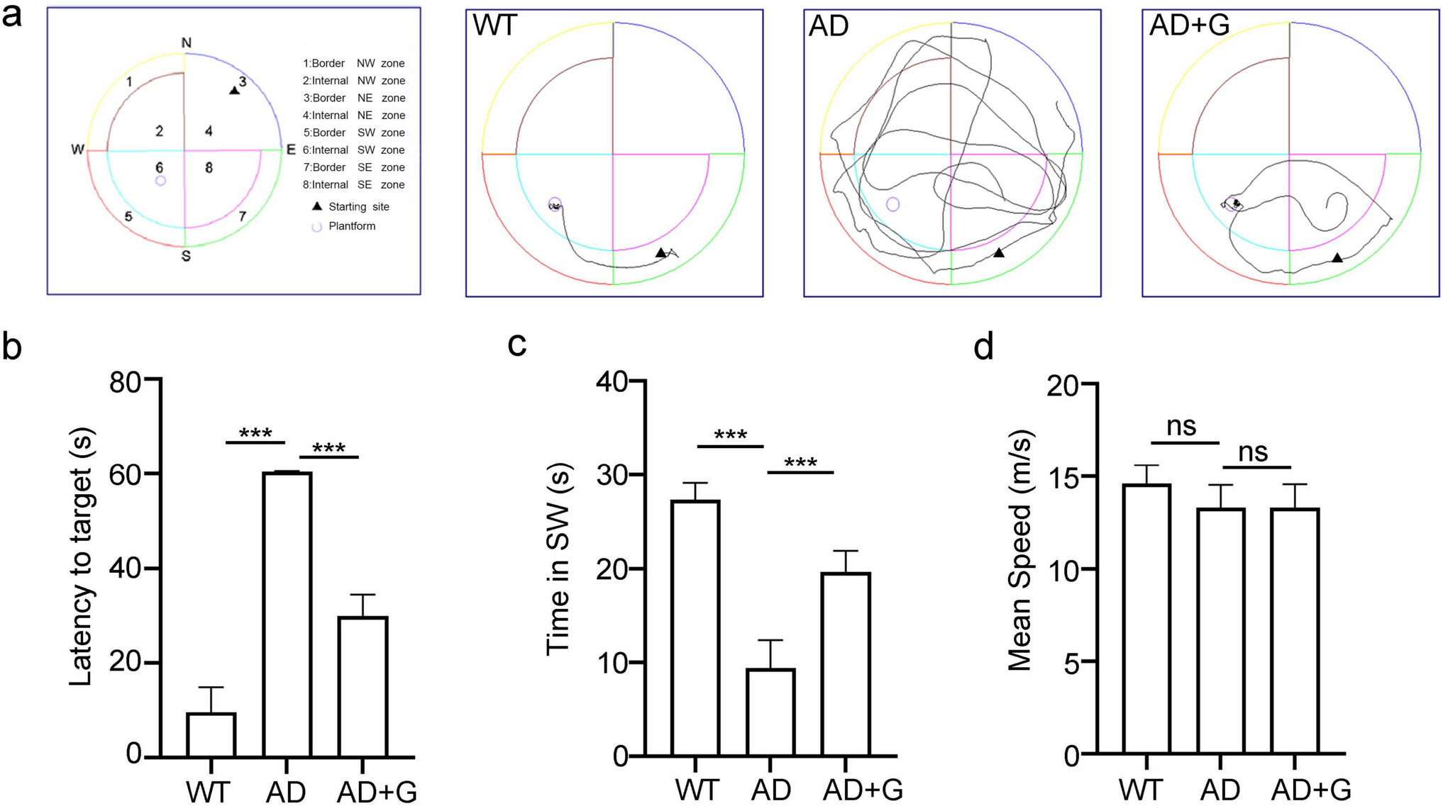 Polysaccharides from  attenuate cognitive impairment in 5xFAD mice by inhibiting oxidative stress and modulating mitochondrial dynamics via the Nrf2/antioxidative axis activation