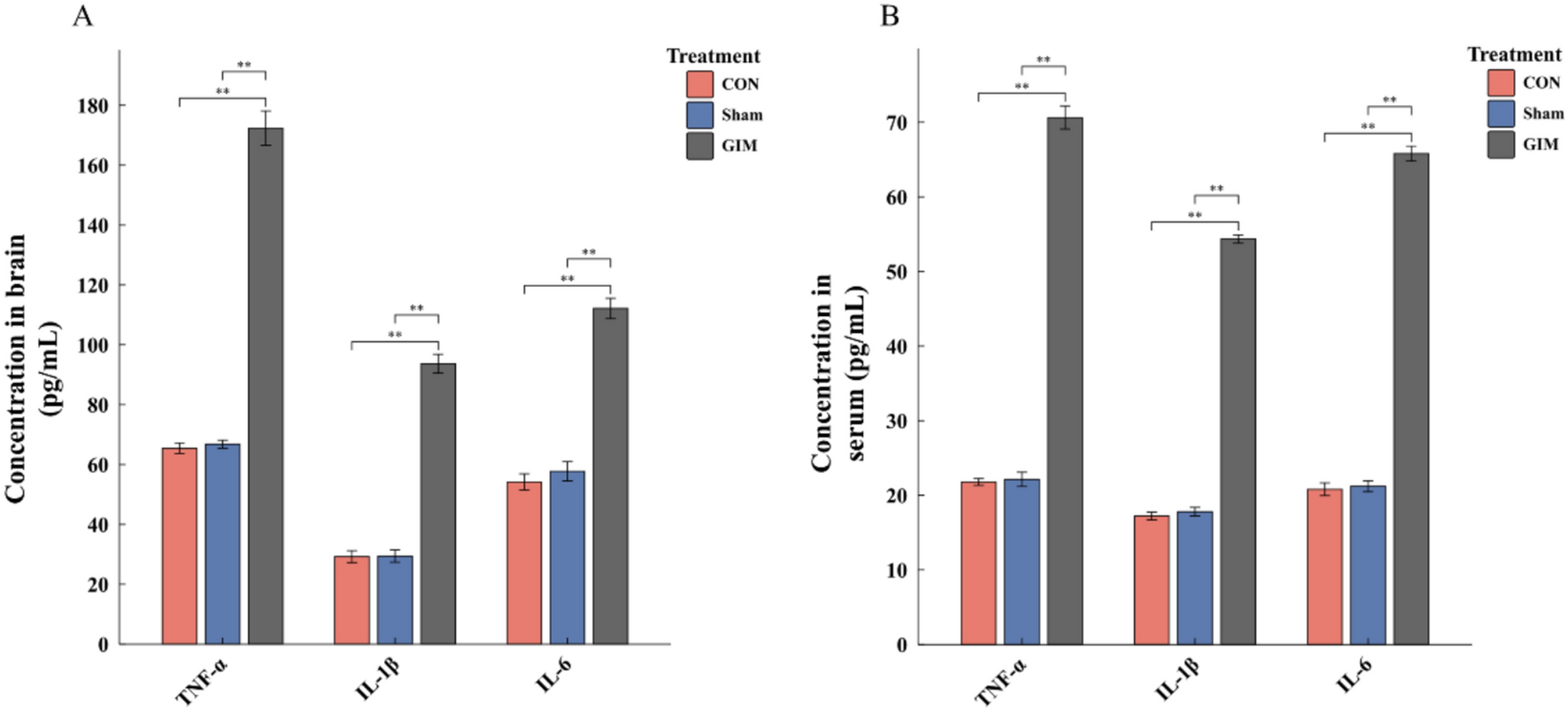The Role of G-Protein-Coupled Receptor Kinase 4 in Modulating Mitophagy and Oxidative Stress in Cerebral Ischemia–Reperfusion Injury