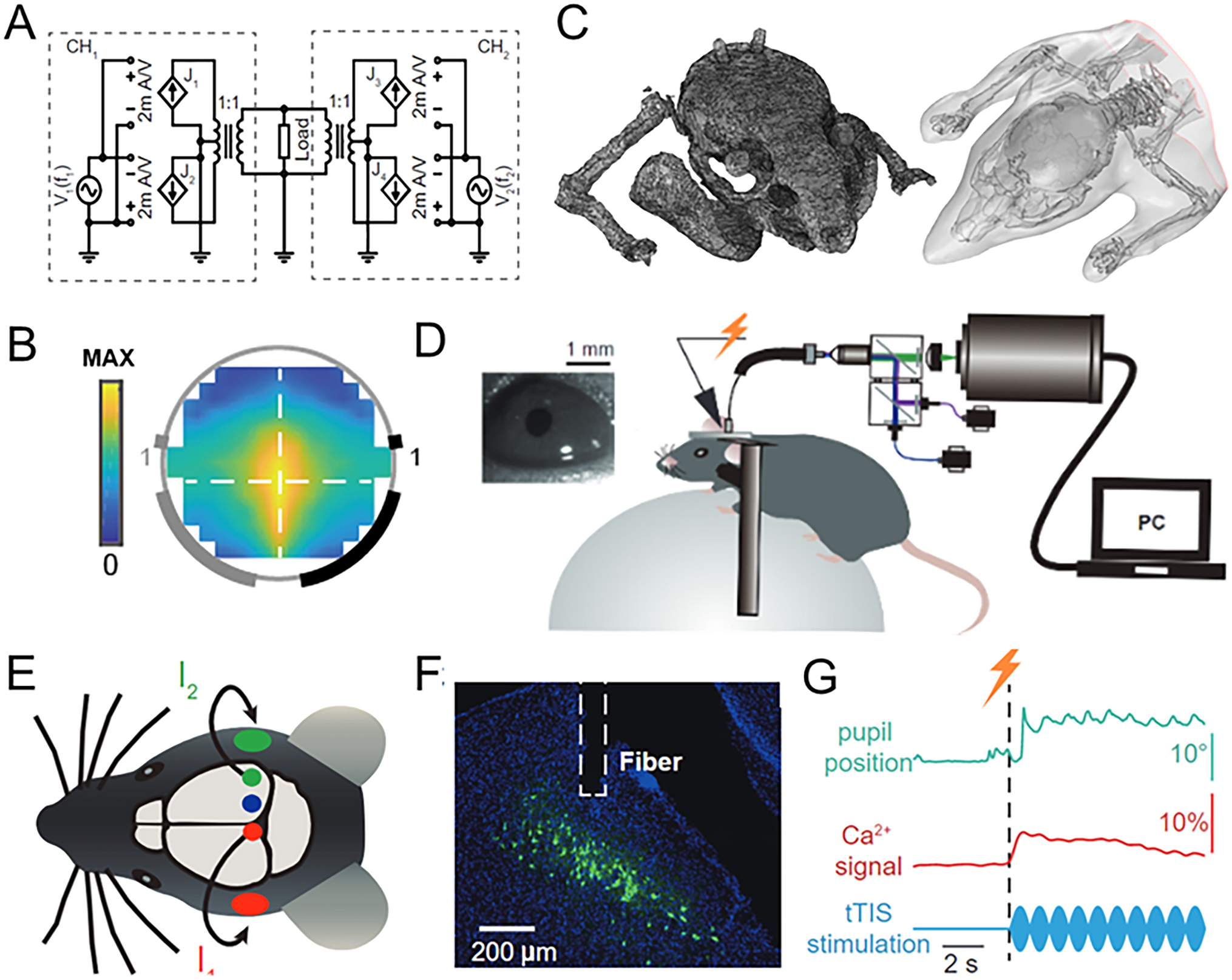 Transcranial temporal interference stimulation precisely targets deep brain regions to regulate eye movements