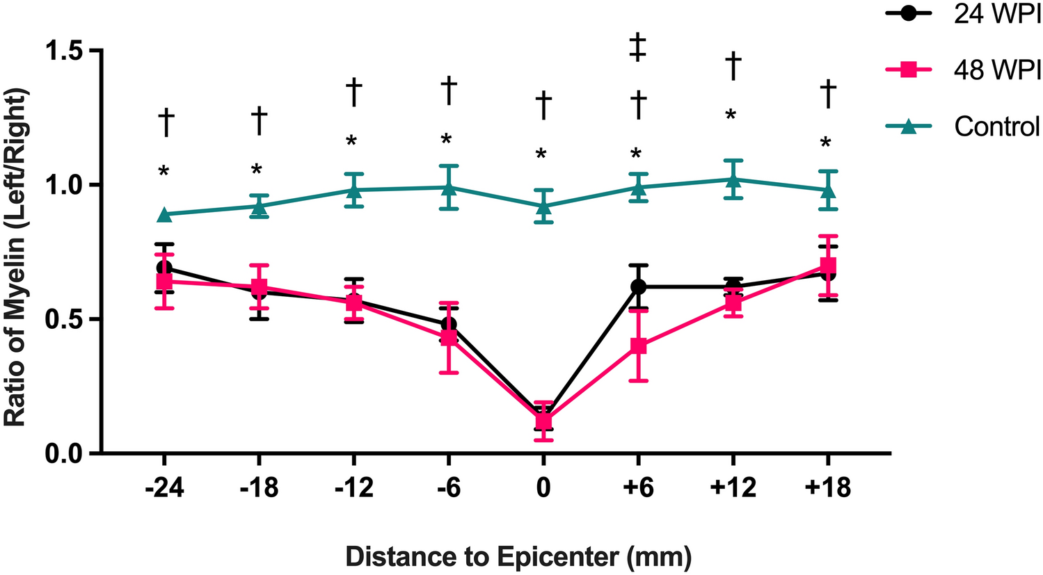 Histopathological Insights into Demyelination and Remyelination After Spinal Cord Injury in Non-human Primates