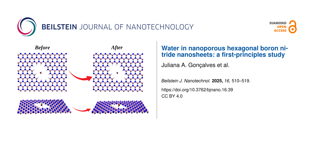 Water in nanoporous hexagonal boron nitride nanosheets: a first-principles study
