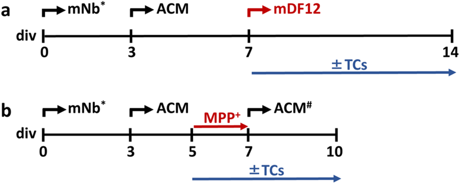 Oxytetracycline and its Non-Antibiotic Derivative DOT Protect Midbrain Dopamine Neurons from Iron-Driven Oxidative Damage