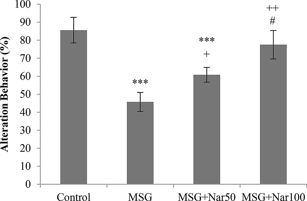 The Effect of Naringin on Cognitive-Behavioral Functions, CREB/BDNF Signaling, Cholinergic Activity, and Neuronal Density in the Hippocampus of an MSG-Induced Obesity Rat Model