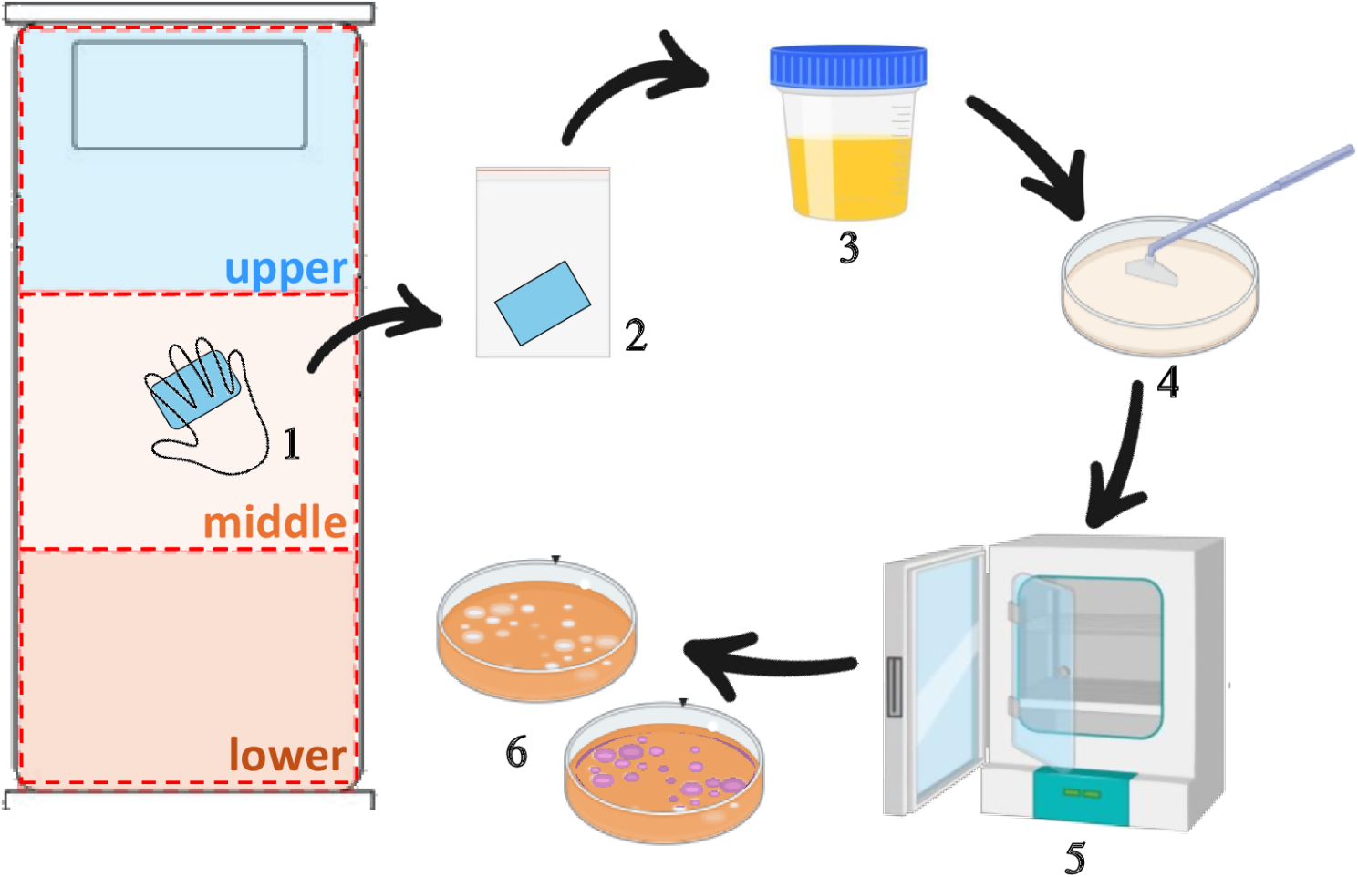 Enhancing bedding hygiene in long-term care facilities: investigating the impact of multilevel antimicrobial polymers (MAP-1) on bacterial and MDRO reduction