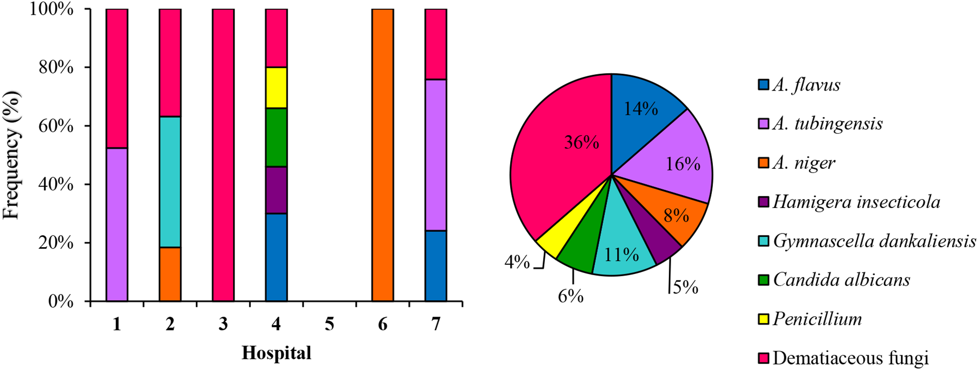 Prevalence of fungi and their antifungal and disinfectant resistance in hospital environments: insights into combating nosocomial mycoses