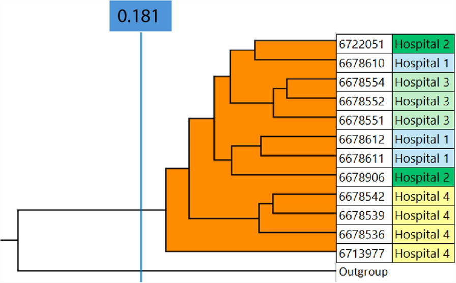 Use of a national repository of Fourier-transform infrared spectroscopy spectra enables fast detection of silent outbreaks and prevention of spread of new antibiotic-resistant sequence types