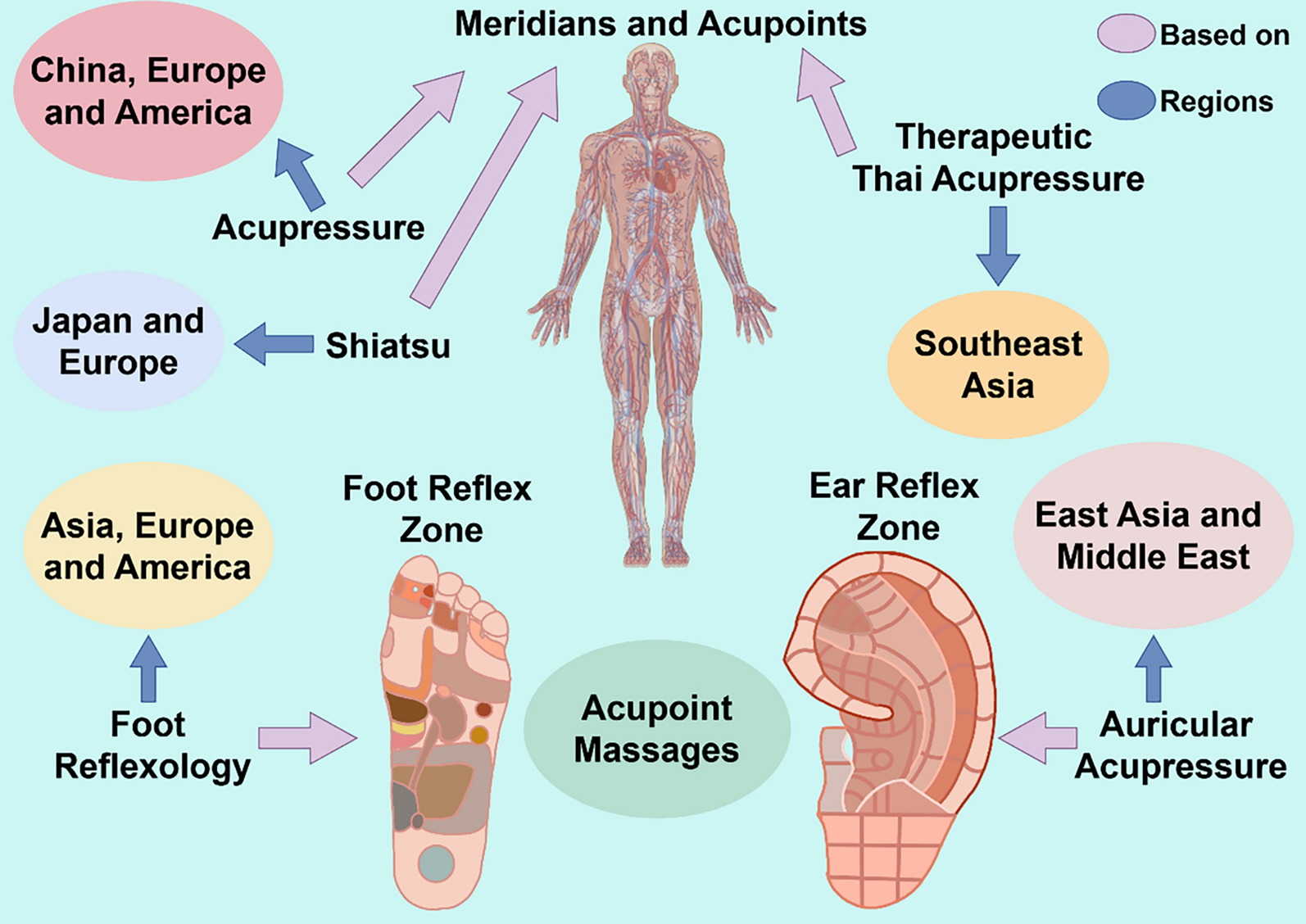 Acupoint massage: a comprehensive descriptive review of its forms, applications, and underlying mechanisms