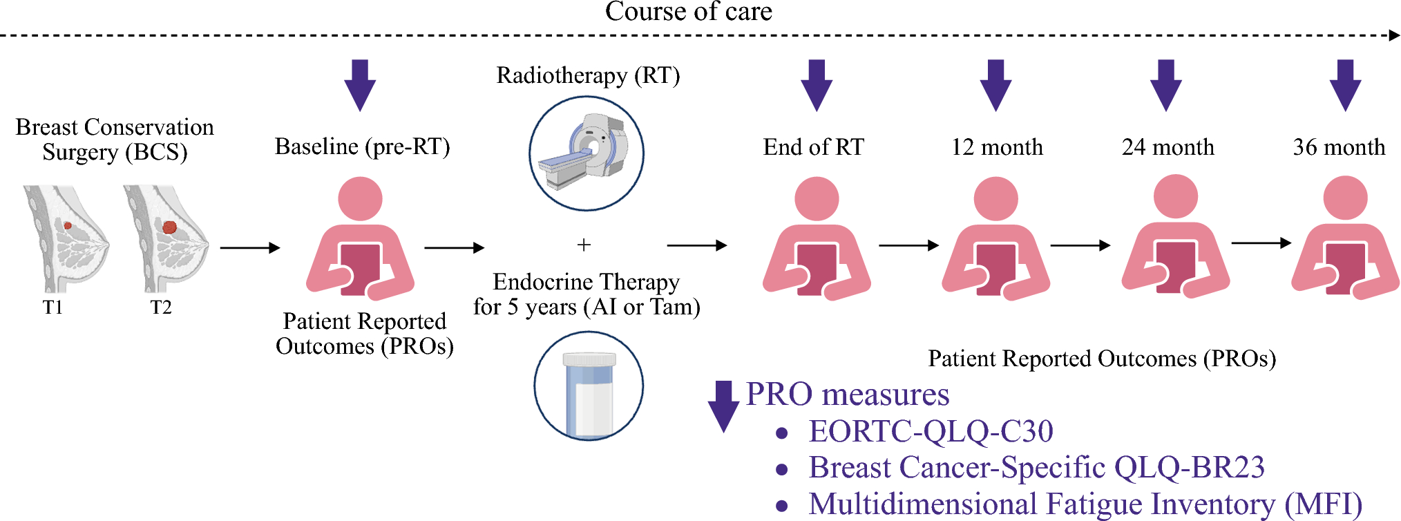 Differential Effects of Endocrine Therapy Type on Quality of Life in Older (≥70 Years) Women with Early-Stage Breast Cancer