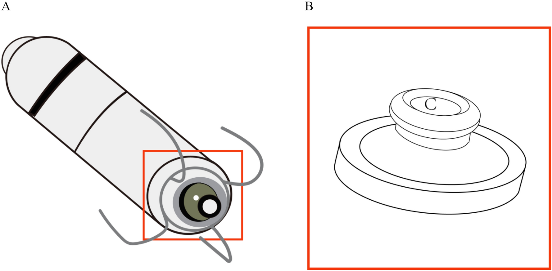LPM electrode loaded with RAPA-PLGA drug sustained-release system can reduce local fibrous tissue hyperplasia and local bioelectrical impedance