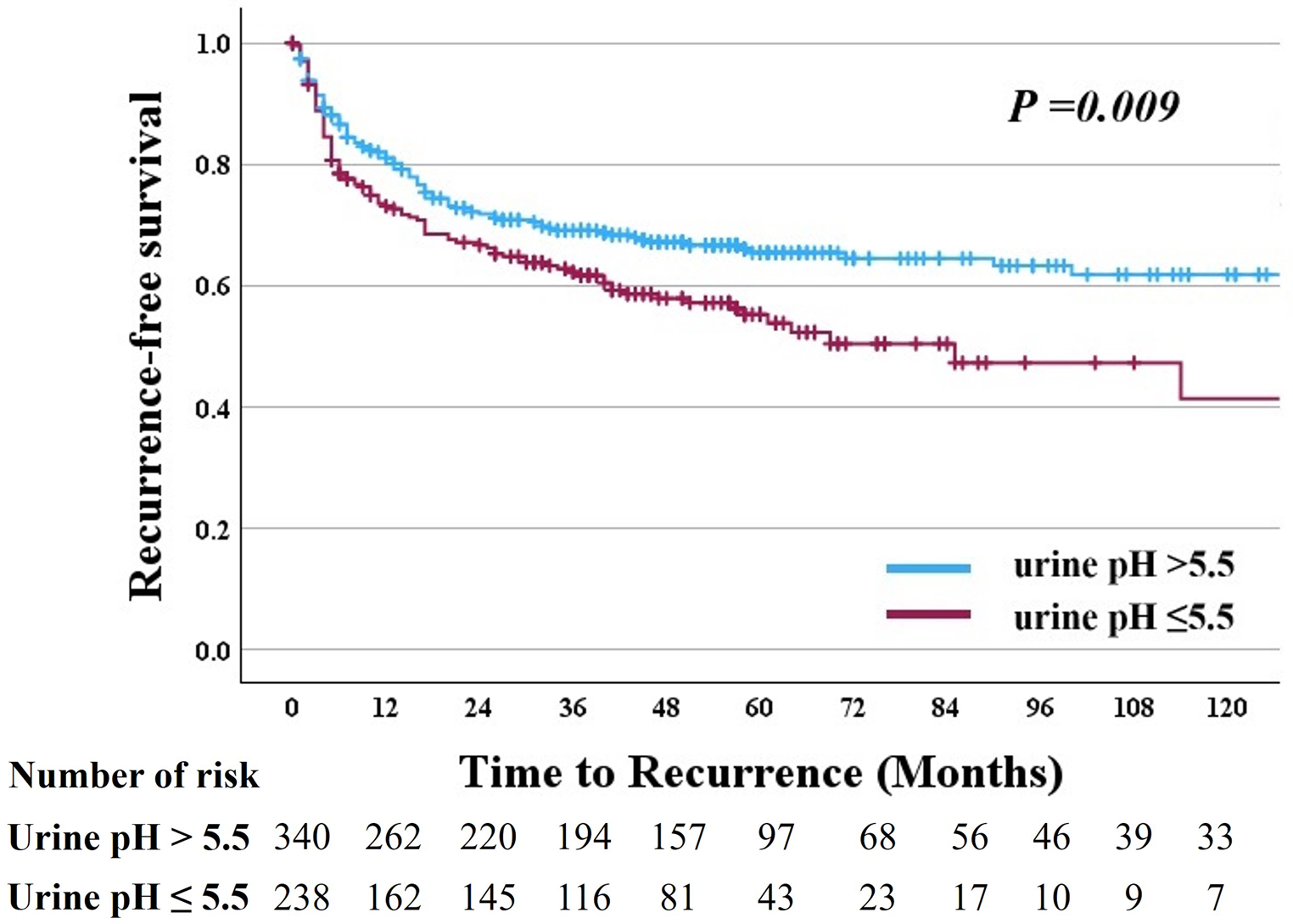 Acidic urine as a prognostic factor after intravesical Bacillus Calmette–Guérin induction therapy for nonmuscle-invasive bladder cancer