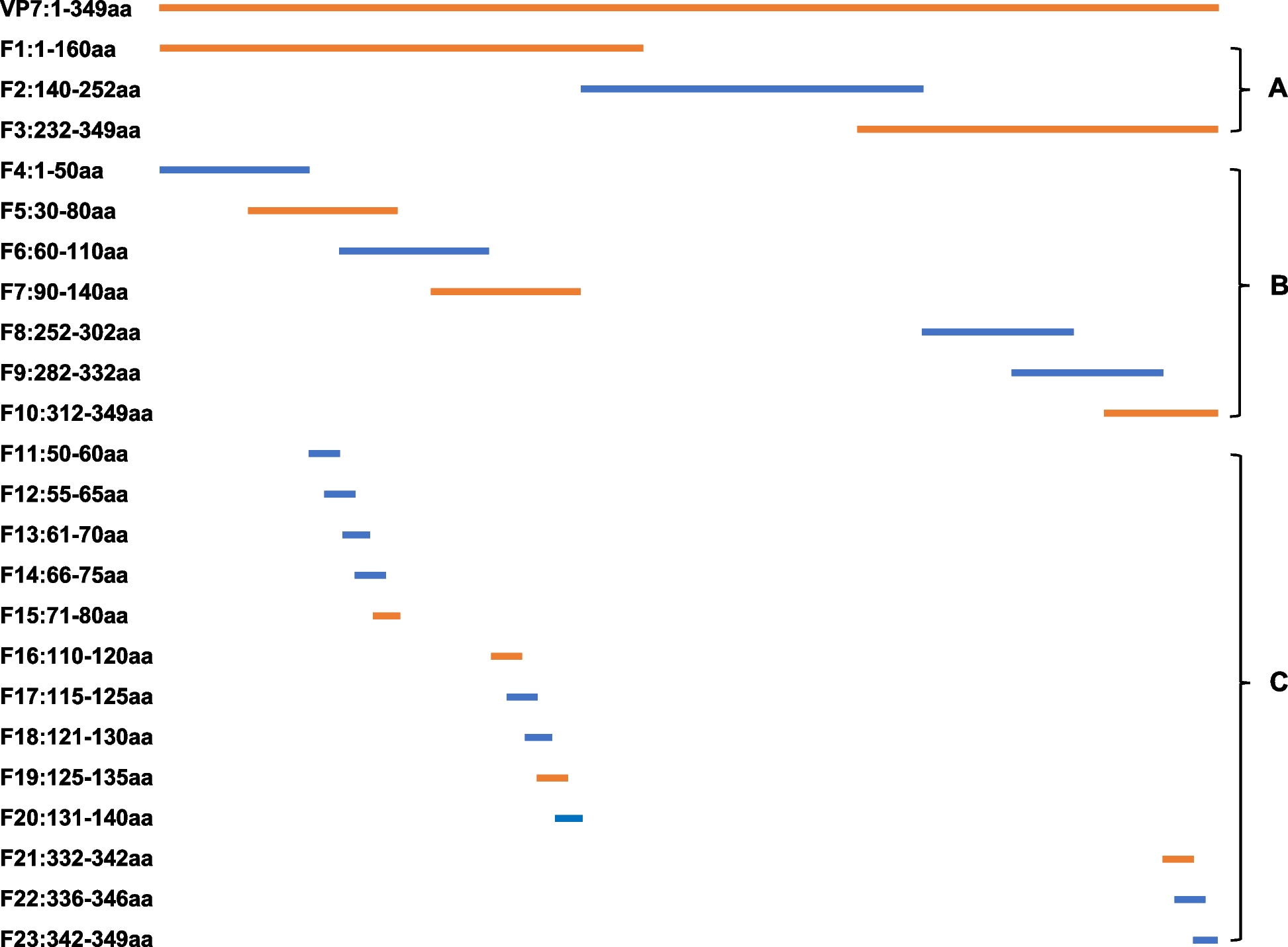 Monoclonal antibody and B-cell epitope mapping of the VP7 protein in bluetongue virus