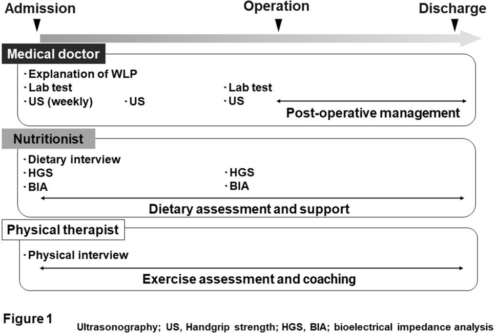 Preoperative Weight Loss Program for Hepatocellular Carcinoma Patients with High Body Mass Index in Hepatectomy