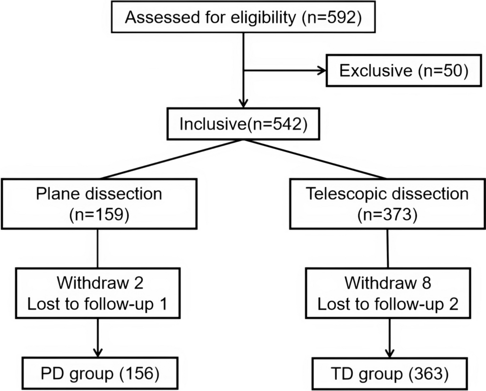 Comparative analysis of plane vs. telescopic dissection in totally extraperitoneal inguinal hernia repair: propensity score matching