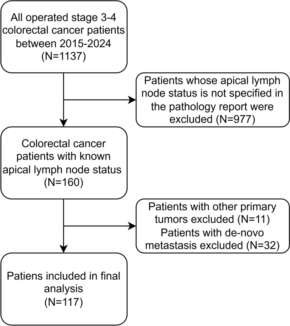 Poor prognosis in stage III colorectal cancer with apical lymph node metastasis: a single-center retrospective study