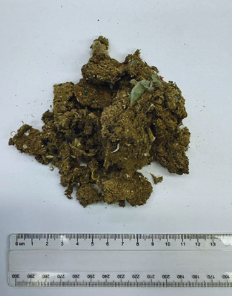 Role of ammonia-oxidising bacteria in the removal of odorous gases by the use of plastic recycling waste as a biofilter