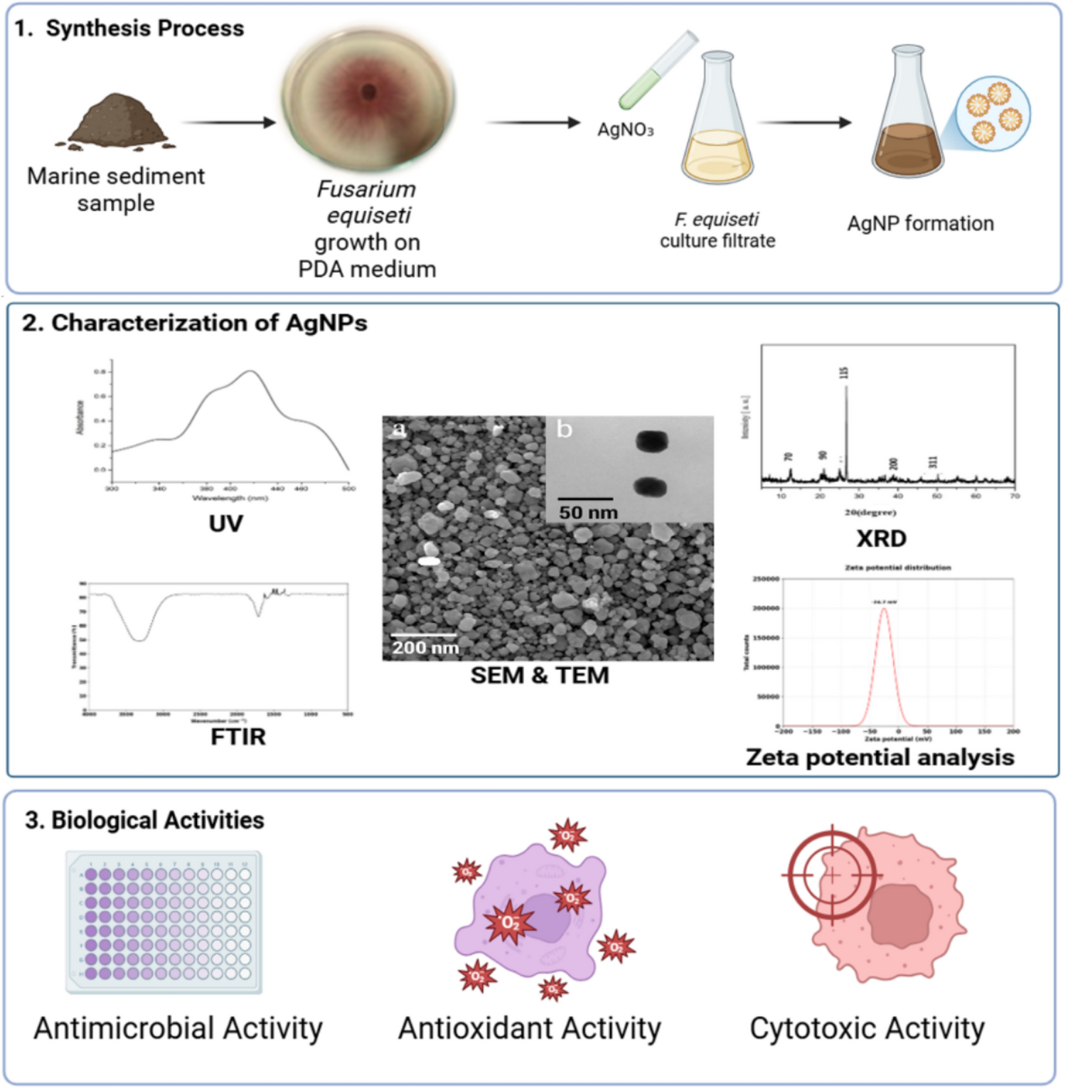 Eco-friendly biosynthesis of silver nanoparticles using marine-derived : optimization, characterization, and evaluation of antimicrobial, antioxidant, and cytotoxic activities