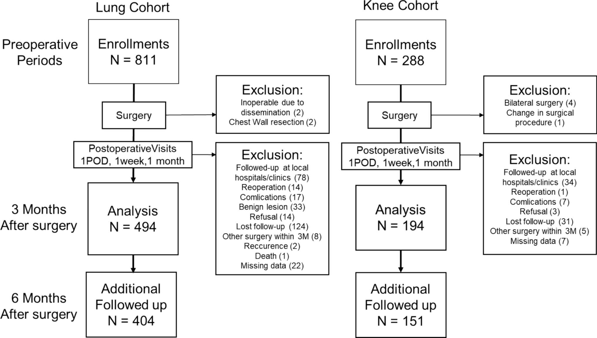 Prevalence and risk factors of chronic postsurgical pain after lung cancer surgery and knee arthroplasty: a prospective multicenter cohort study in Japan