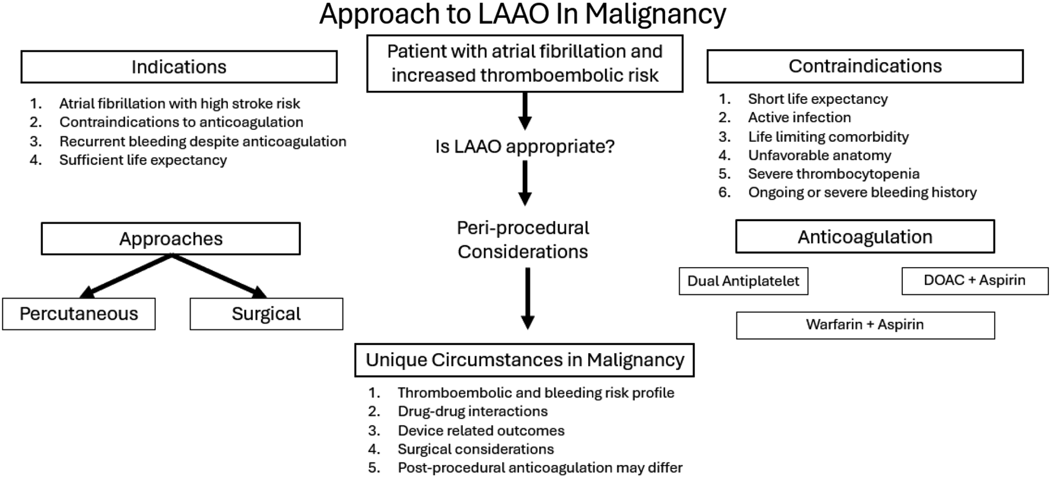 Left atrial appendage occlusion in patients with cancer