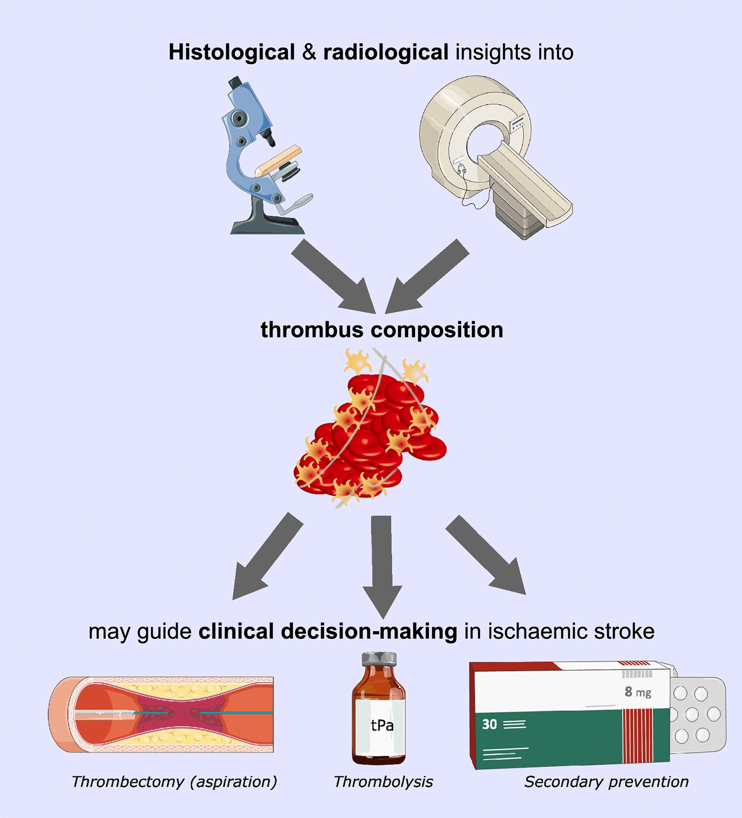 Thrombus composition in ischaemic stroke: histological and radiological evaluation, and implications for acute clinical management